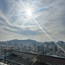 충재박물관 | 카페 개뿔/서울 가볼만한 곳!! 이화동 하늘 정원길 카페 추천! 나혼자 산다 충재 카페 낙산공원 개뿔