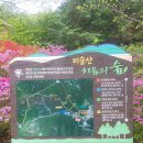 2024년4월21일(셋째일욜)大邱의 명산 琵瑟山천왕봉(해발1,084m)&조화봉(1,058m)&대견봉(1,035m)연계산행함※ 이미지