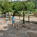 라라목장 이미지