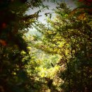 옥계가는 민박 이미지