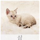 예쁨더하기# 이미지