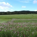 복흥농장 이미지