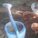 성중농장 이미지