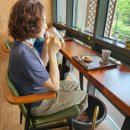 치유, 명상의 숲 이미지