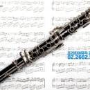 클라리넷 집중레슨 이미지