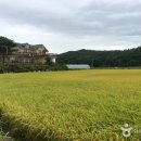 솔마루펜션 이미지