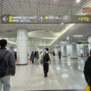 다인게이트볼장 화장실 | 삼성 코엑스 일식 맛집 <일상정원 코엑스점> 내돈내산 후기 데이트 연말모임 추천