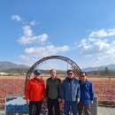 고석정광장 이미지