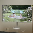 중소기업정보관 화장실 | 중소바이미 40인치 사용후기｜스탠바이미 대신 산 이유