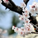 형님건설(주)