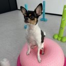 사랑한다, 멍 이미지