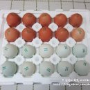 푸른들농장 이미지