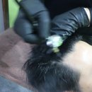 네오헬스케어 | 구로디지털단지 탈모관리 네오나오 탈모클리닉 좋아요~