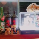 양천향교역 7-8번 출구 사이 이미지