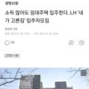 오!대박 Daum카페