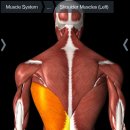 메카헬스 이미지