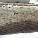 김동석농장 이미지