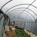 숙희농장 이미지