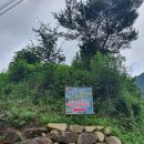 소나무향기펜션 이미지