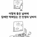 신스쭈꾸미 이미지