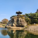 충북 영동 볼거리 "월류봉 및 월류정" 가을 풍경