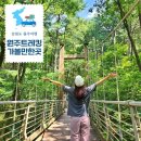 섬강매향골마을 | 원주 여행 농촌크리에이투어 자작나무숲 치악산 구룡사 트레킹