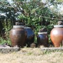 둥구나무민박 이미지