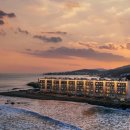 트라제5 이미지