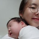 까망도치