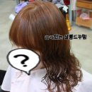 살롱드꾸밈