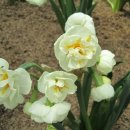 민박 동면 이미지