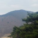 이시백 묘 | 유생이 반정공신되어 영의정까지 오른 이시백의 묘. 연안이씨 10