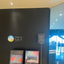 입장-12 | 도쿄 시부야스카이 12시 입장 후기: 사진 꿀팁