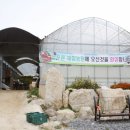 늘푸른농장(2) 이미지