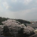 영복여자고등학교 이미지