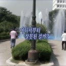 태조목장 | [🇰🇷Yeongwol#1] 왕사남 안 봤어도 영월은 가고 싶어!