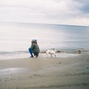 너의하루 이미지