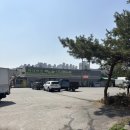 벚꽃 보며 낭만 있게 고기 한 판! 남양주 오남읍 청년고기장수 방문후기