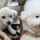 개st하우스 이미지