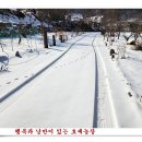 손자농장 이미지