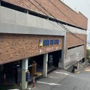 응봉동 공영주차장 화장실 | 응봉산 개나리 실시간 주차 꿀팁 서울 꽃 축제