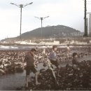 (주)임해관광 이미지