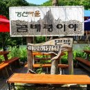 천상의화원 곰배령 야생화 탐방 토요산행(6/20,토) - 레포 회장 이미지