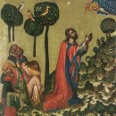 겟세마니 동산 이미지