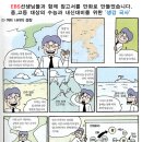 닛시사이언스
