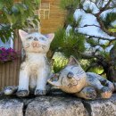 밀양농협 남명지점 이미지