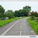 강정보-사문진교-좌학은행나무숲)왕복(17Km)-200802 이미지