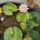 참편한 주유소 이미지