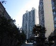 장고갯로04 네이버블로그