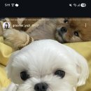 다녀오개습니다 이미지